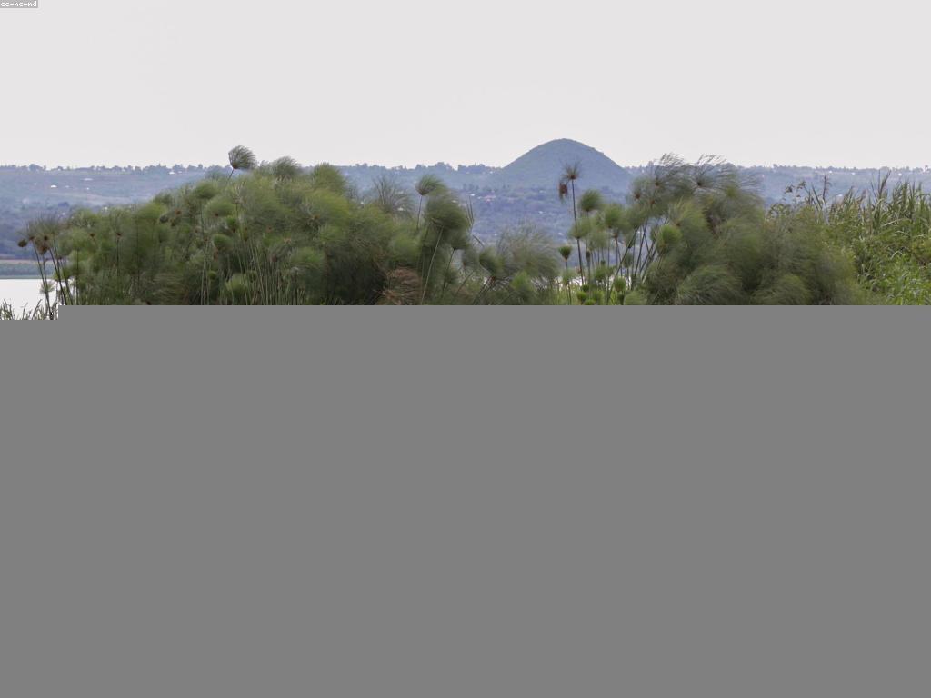 សារៈសំខាន់នៃកម្មវិធីជំនួយក្នុងសង្គម