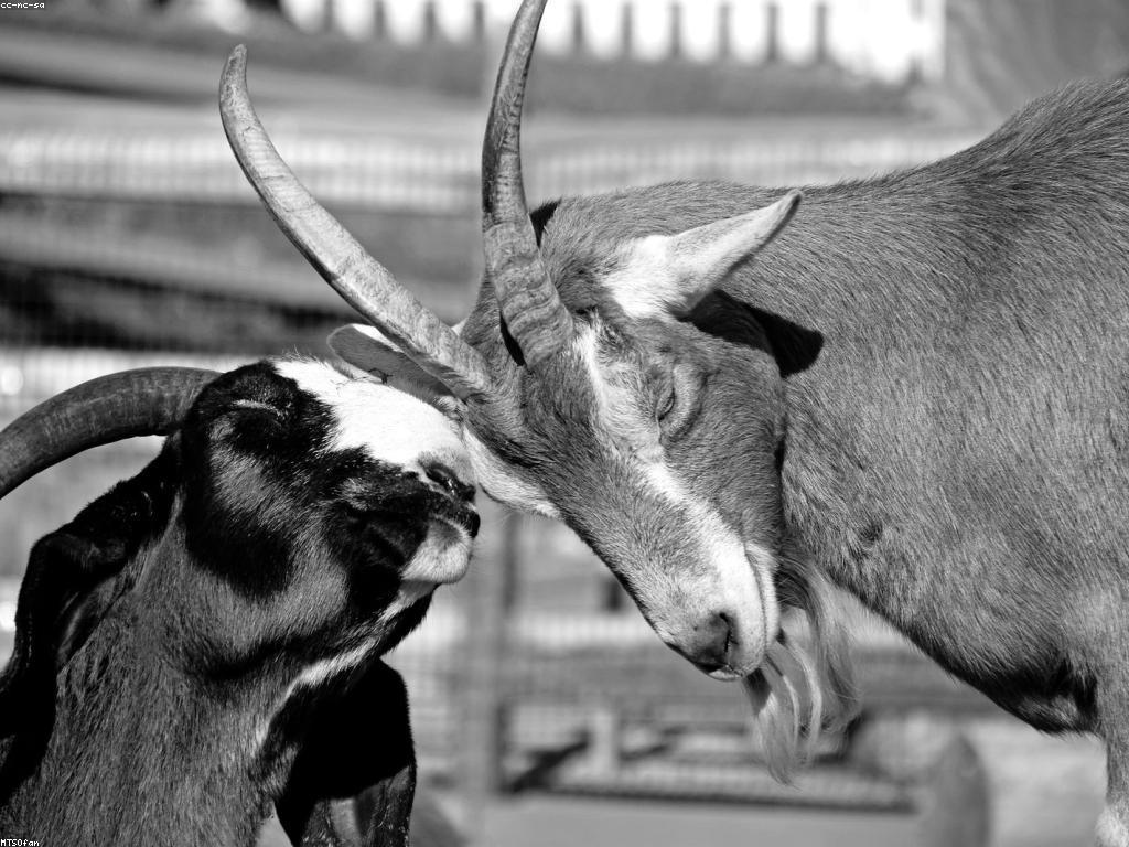 យុទ្ធសាស្ត្រលេង: ការលេងក្នុងការសិក្សាដើម្បីជួយអភិវឌ្ឍន៍សមត្ថភាព