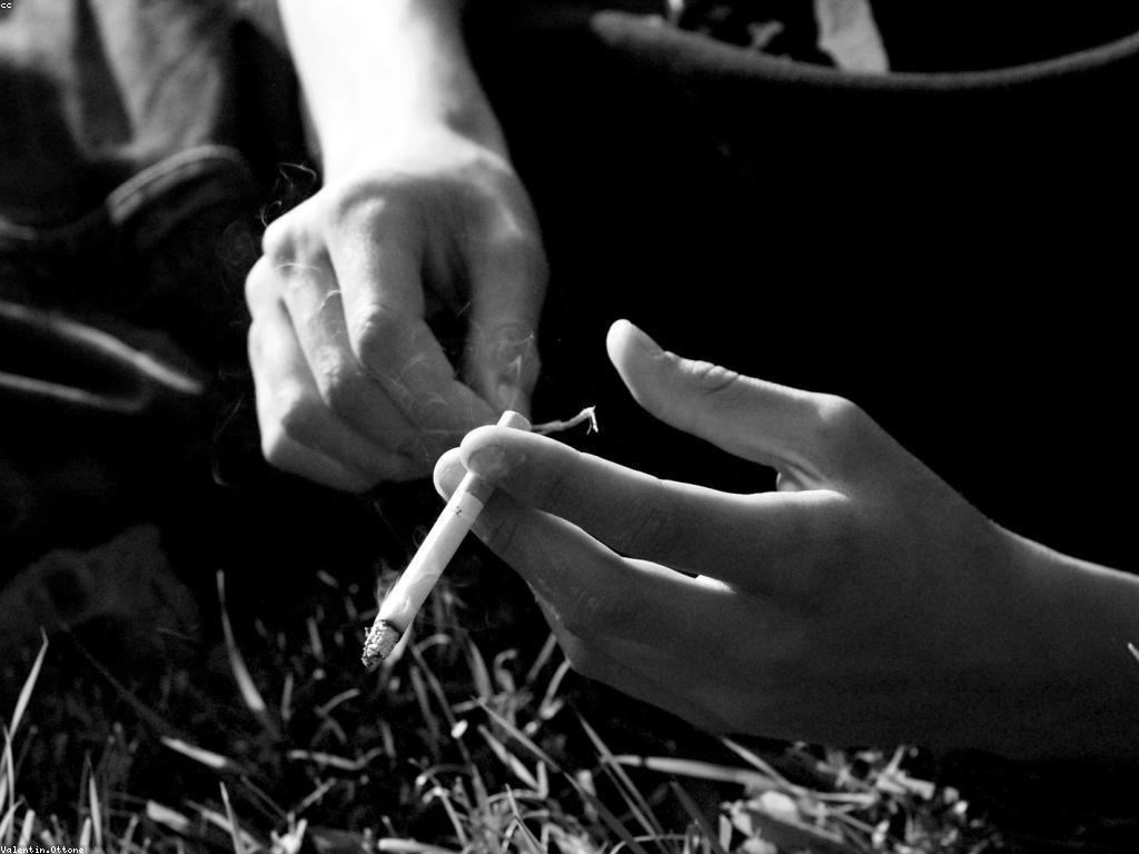 ឥទ្ធិពលនៃព័ត៌មានល្អៗលើសុខភាពផ្លូវចិត្ត