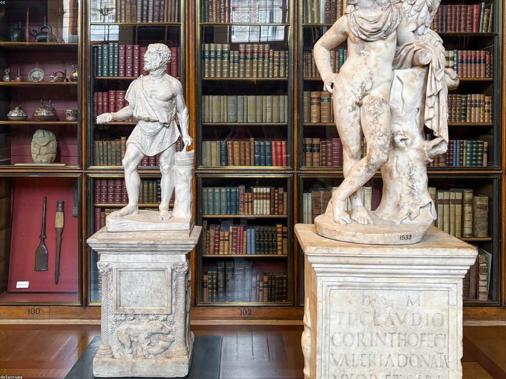 ការណែនាំសម្រាប់អ្នកថ្មី